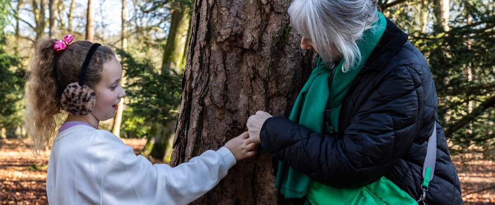 A young girl with her grandma looks closely at the bark of a tree
