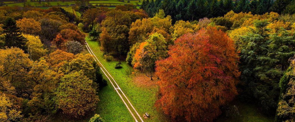 Drone image of Westonbirt