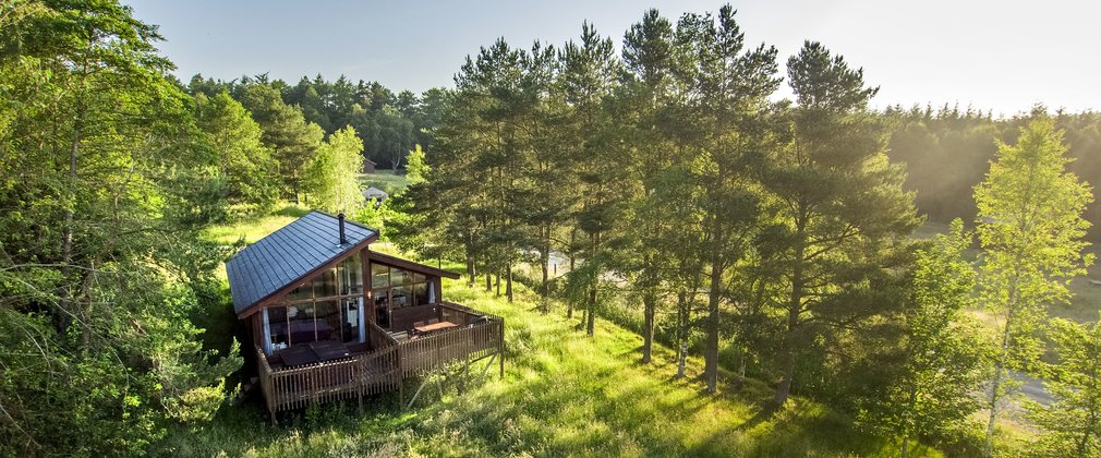 Forest Holidays cabin in the forest on a sunny day