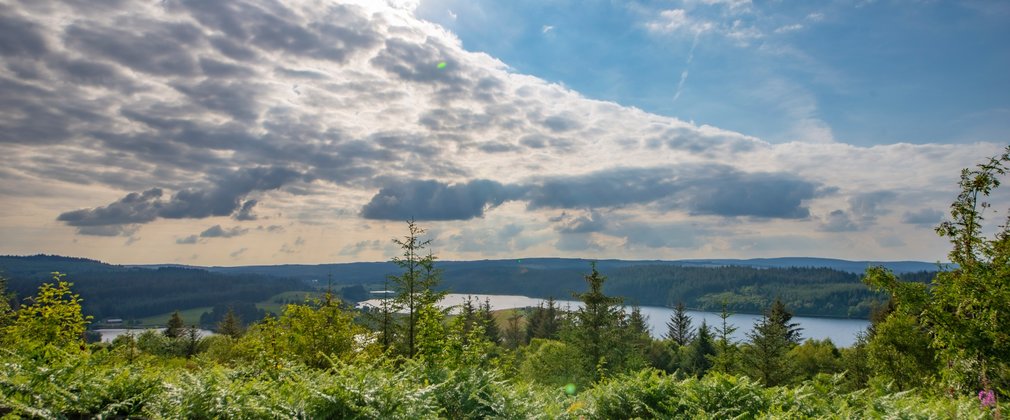 A wide view of Kielder Forest from a high point, with the sun glinting through white cloud  