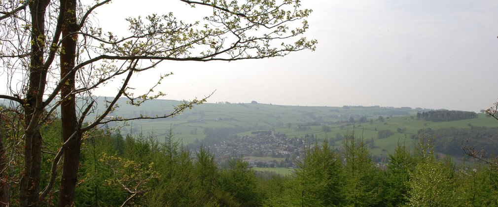 Kinsley Wood view over Knighton