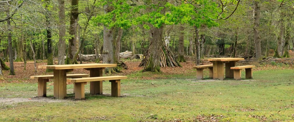 Two wooded picnic benches in a woodland setting