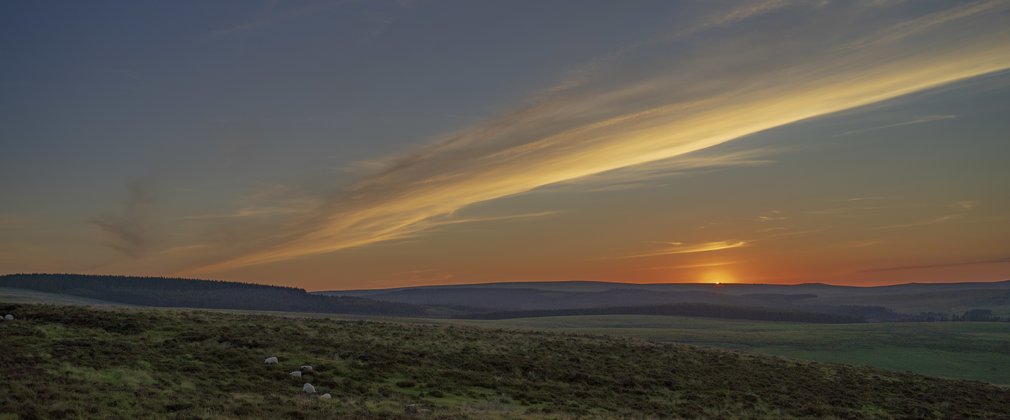 Dark sky sunset over open field