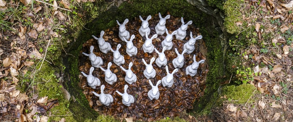 A rabbit warren with porcelain rabbit sculptures within.