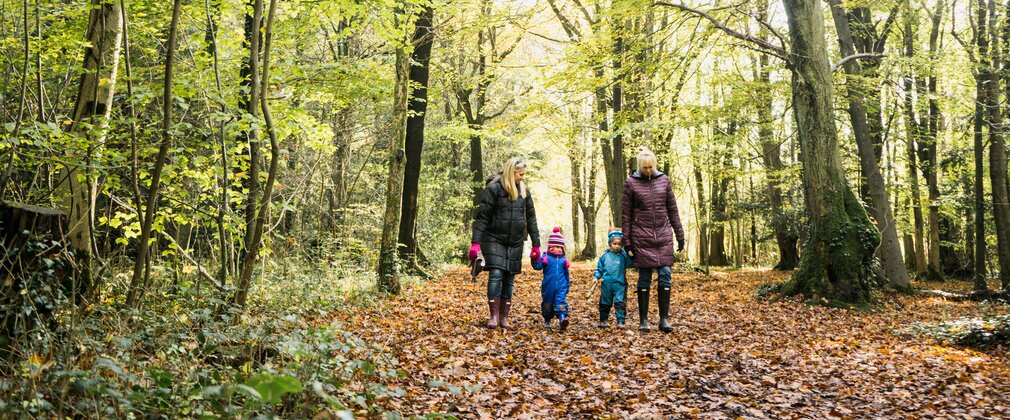 Two adults and two children walking on a woodland path covered in fallen autumn leaves.