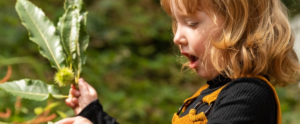 Little girl exploring spring in the forest