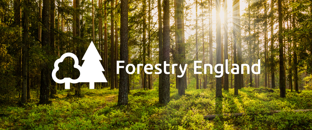 Forestry England logo sunset woodland