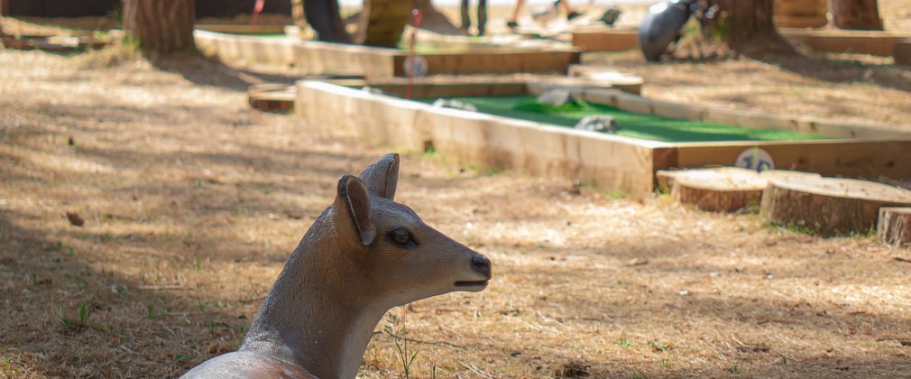 Deer at High Lodge golf