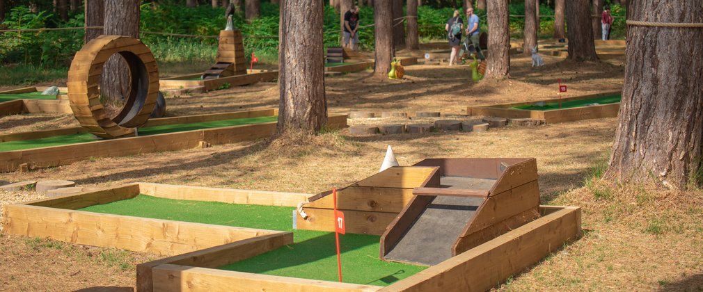 Adventure golf in woodland