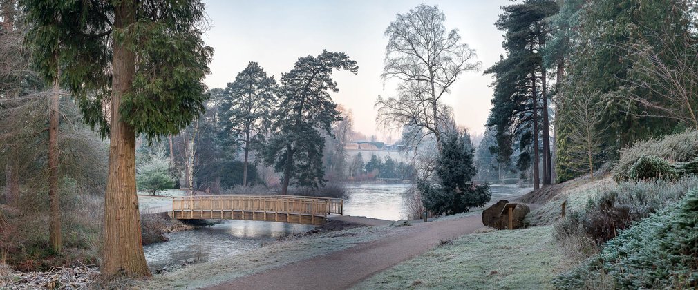 Marshals Lake Bedgebury on a frosty morning