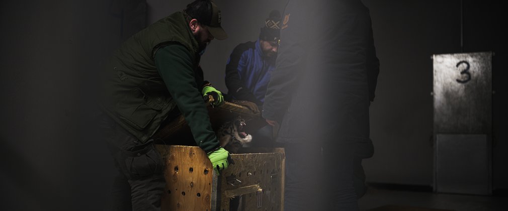 dark photo of men in coats putting something in a chest