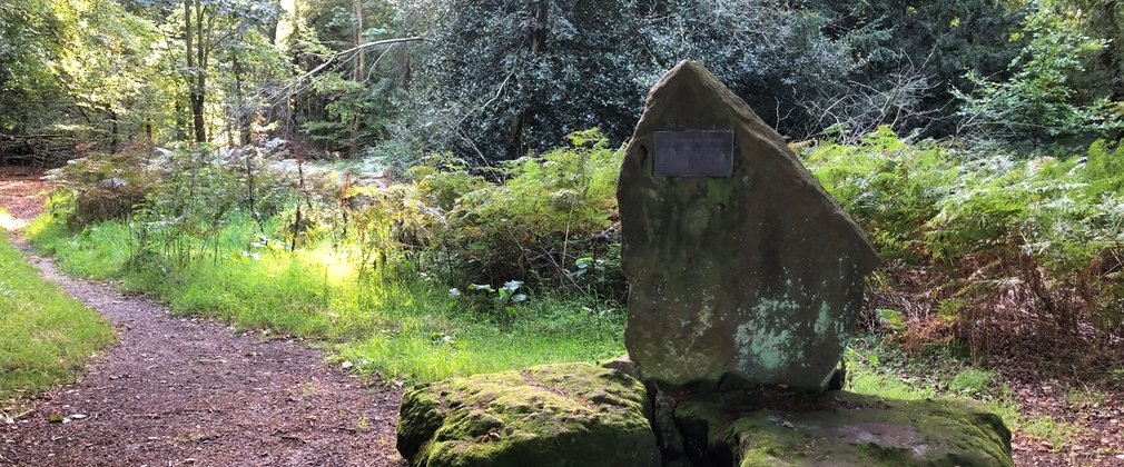 Wendover woods summit
