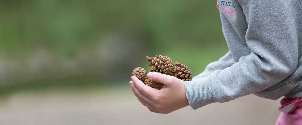 Child holding pine cones
