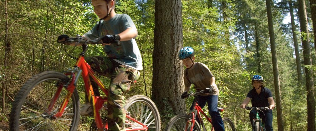 family cycling through the forest
