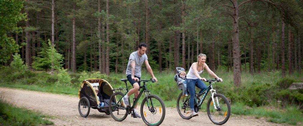 Family cycling at Moors Valley