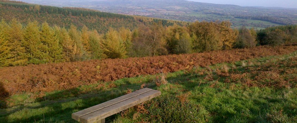 A bench at the top of Mortimer Forest with a view of the surrounding area
