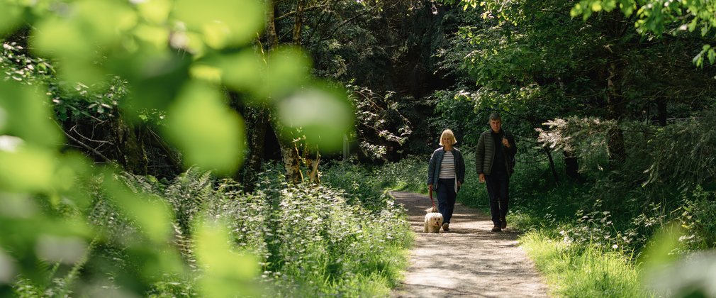 Man and woman walking dog along a path through forest