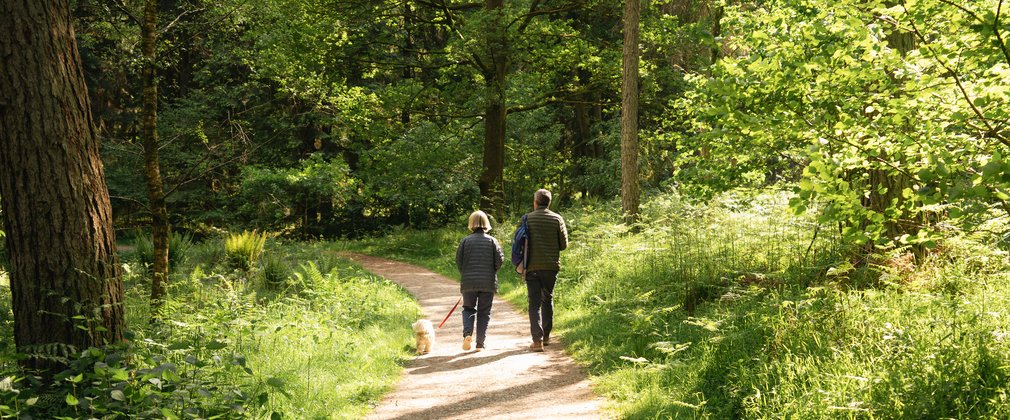 Couple walking a dog on an easy access trail