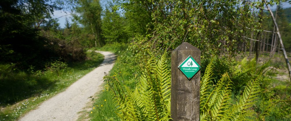 Waymarker on post next to a walking trail