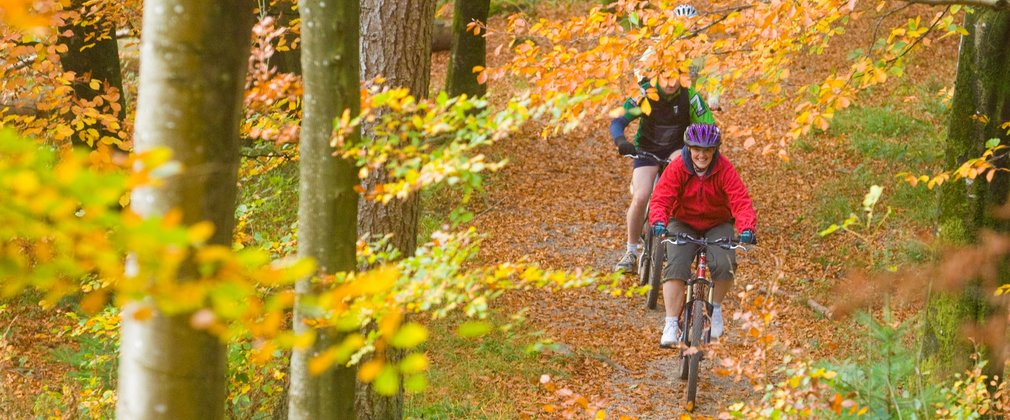 group mountain biking through autumnal trees