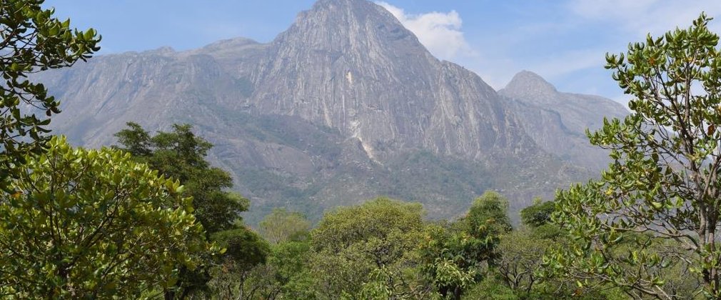 Image of the landscape in Malawi, with trees in the foreground with a mountain range behind.