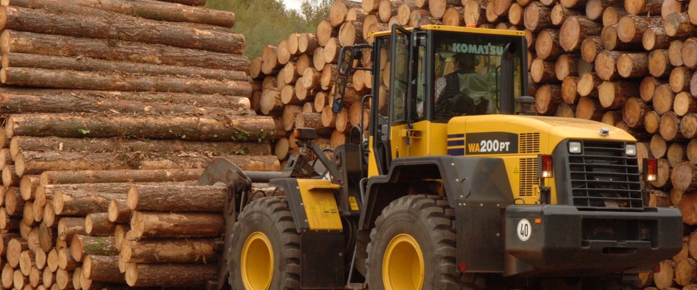 Machine in timber yard
