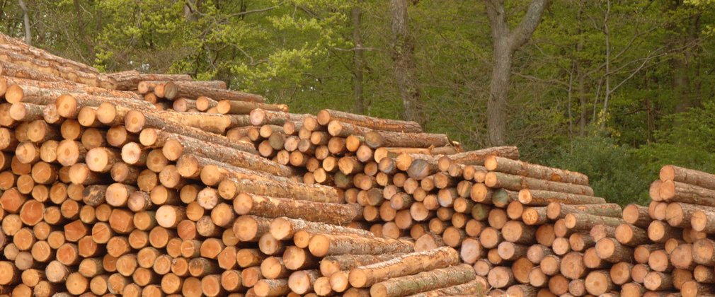 stack of timber