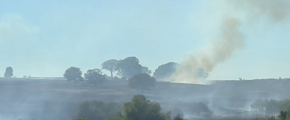 forest wildfire