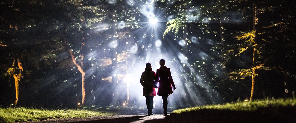 Enchanted Christmas Westonbirt