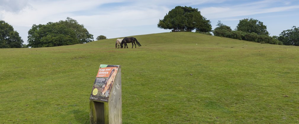 Keep Your Distance from livestock sign at Bolton's Bench