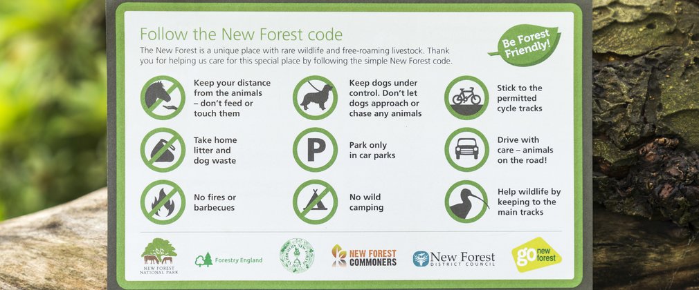 Follow the New Forest Code flyer