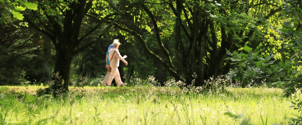 Walking at Blackwater Arboretum