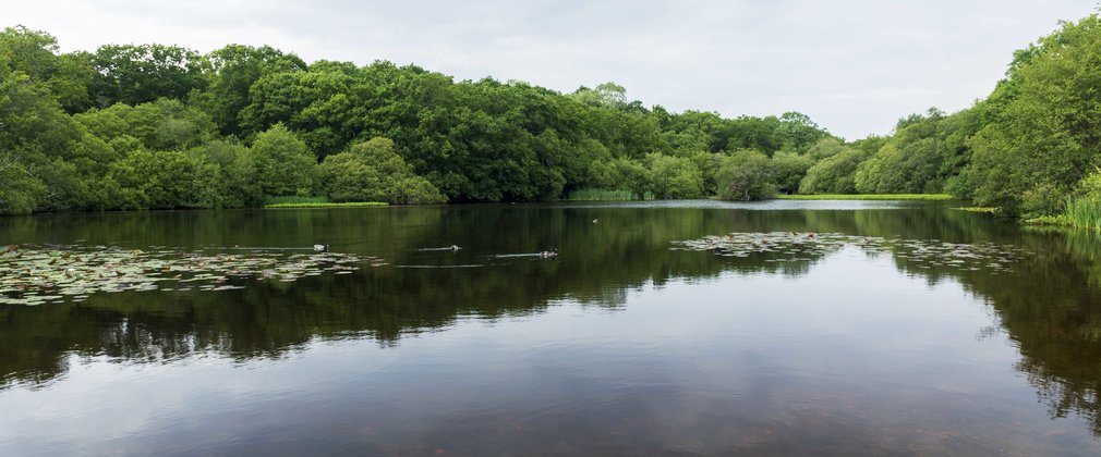 Eyeworth Pond