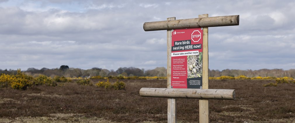 Wooden sign with red background that reads 'Stop. Rare birds nesting here now! Please take another route'