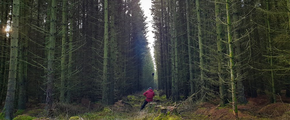 Nayan in the forest
