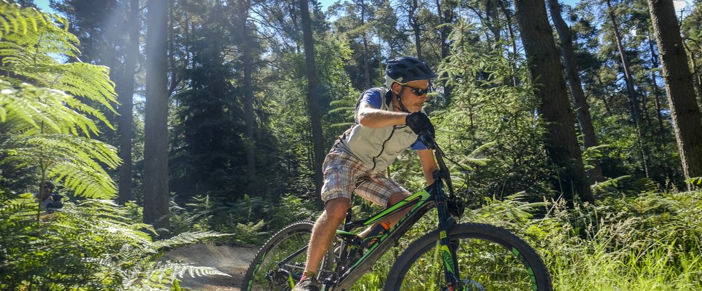 Cyclist at Dalby Forest