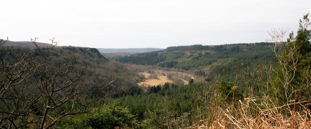 A glacial valley with forest and moorland