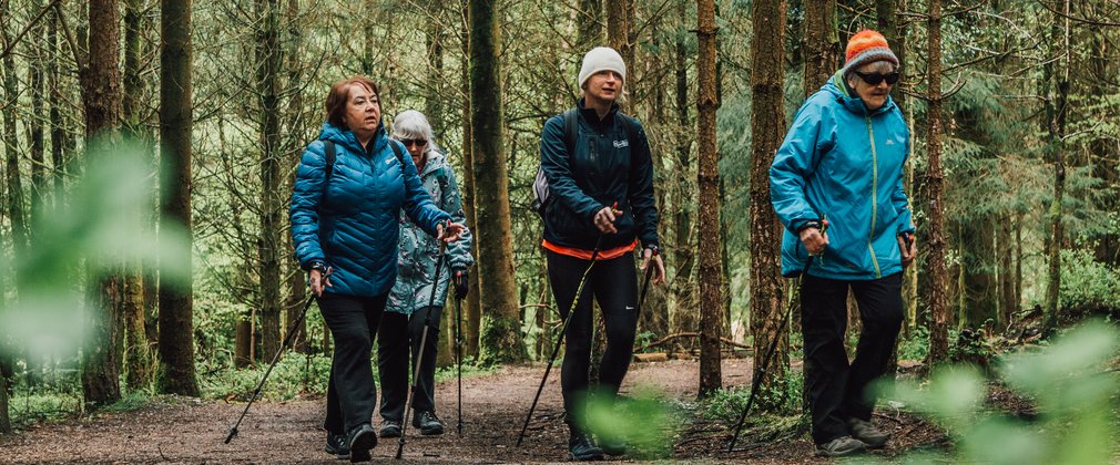 Group of women nordic walking in the forest