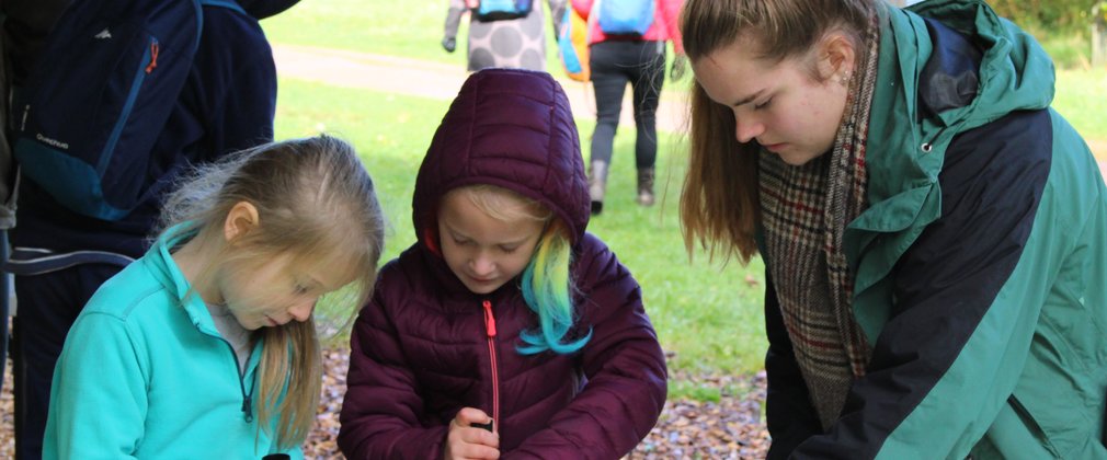 Learning volunteer westonbirt