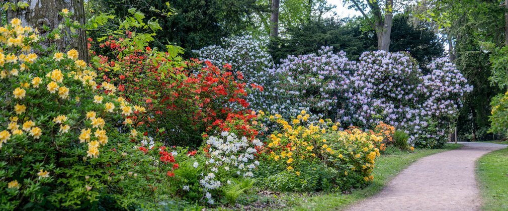 A colourful spring landscape with path on right