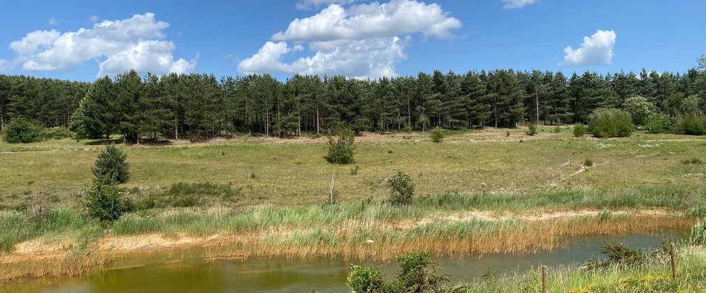 The lake at Ollerton Pit Woods on a sunny day