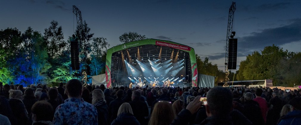 Forest Live Bedgebury Pinetum stage and audience twilight