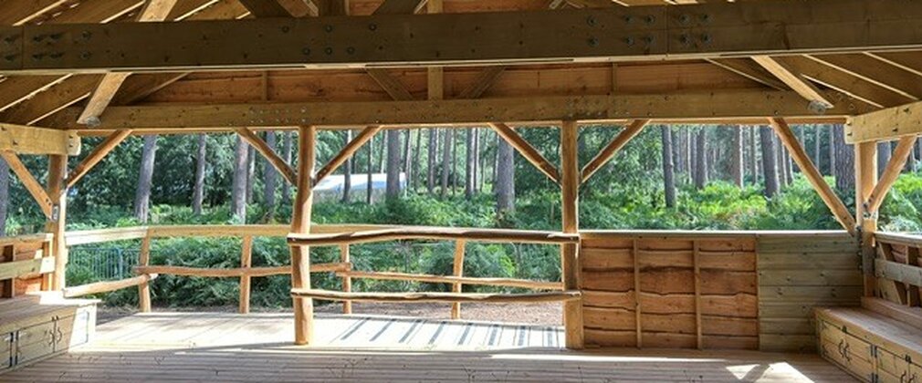 View out into a pine forest from a timber building which is the Pine Needle Glade event shelter