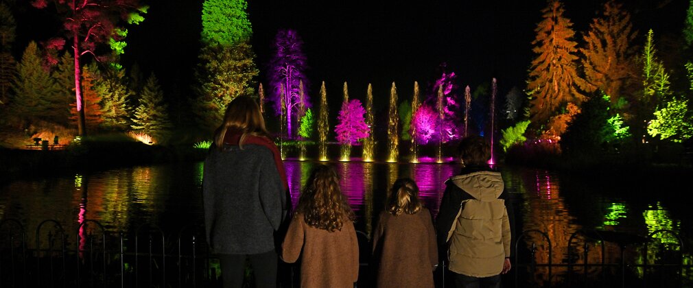 A family watching a light show