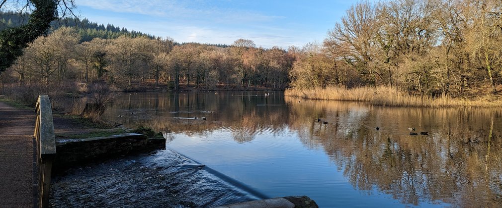 Photo of slipway at Upper Cannop Ponds