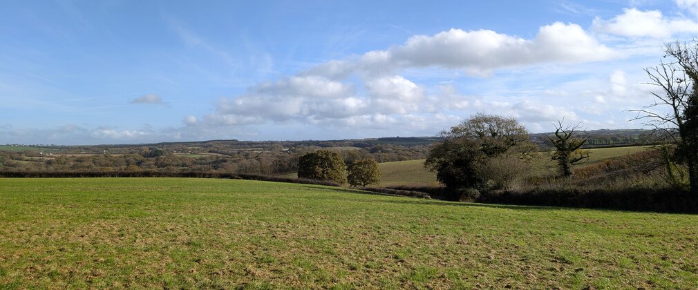 Image of open fields at new woodland creation site, Okement Wood