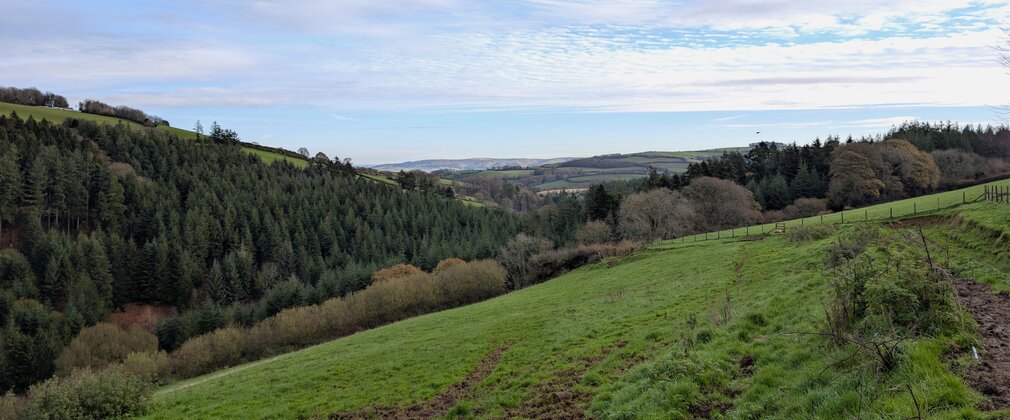 Photo of hills at Blackwell Wood, new woodland creation site in Somerset