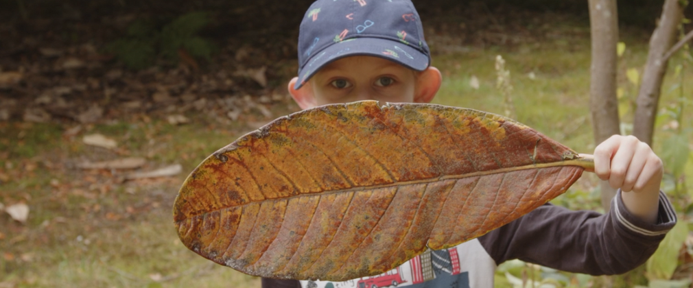 Young boy holding a huge leaf the size of hid head in front of his face.