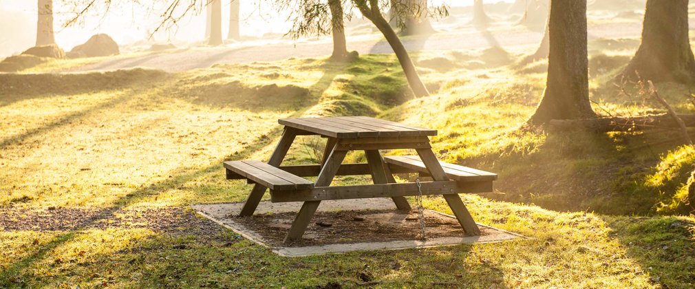 Picnic table at sunrise