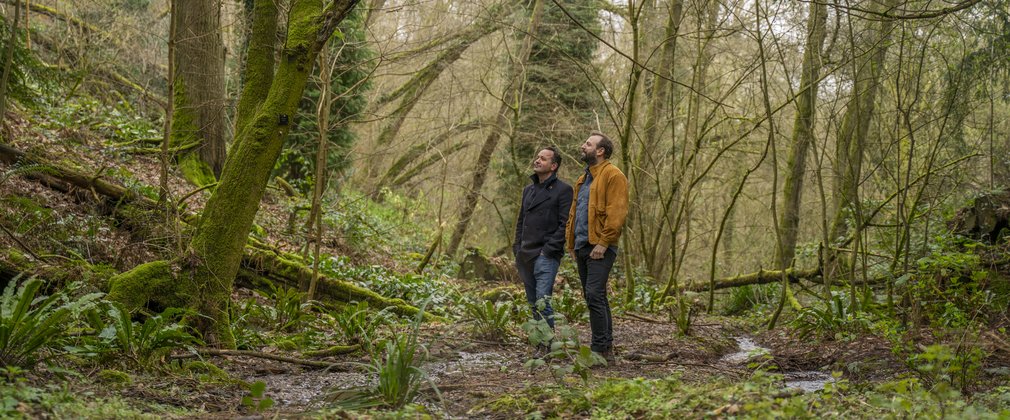 Two men looking up at trees